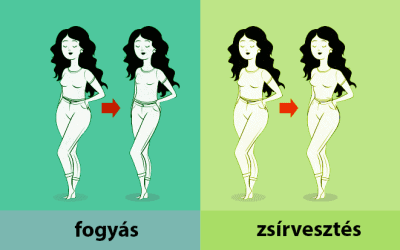 Fogyás vs. zsírvesztés