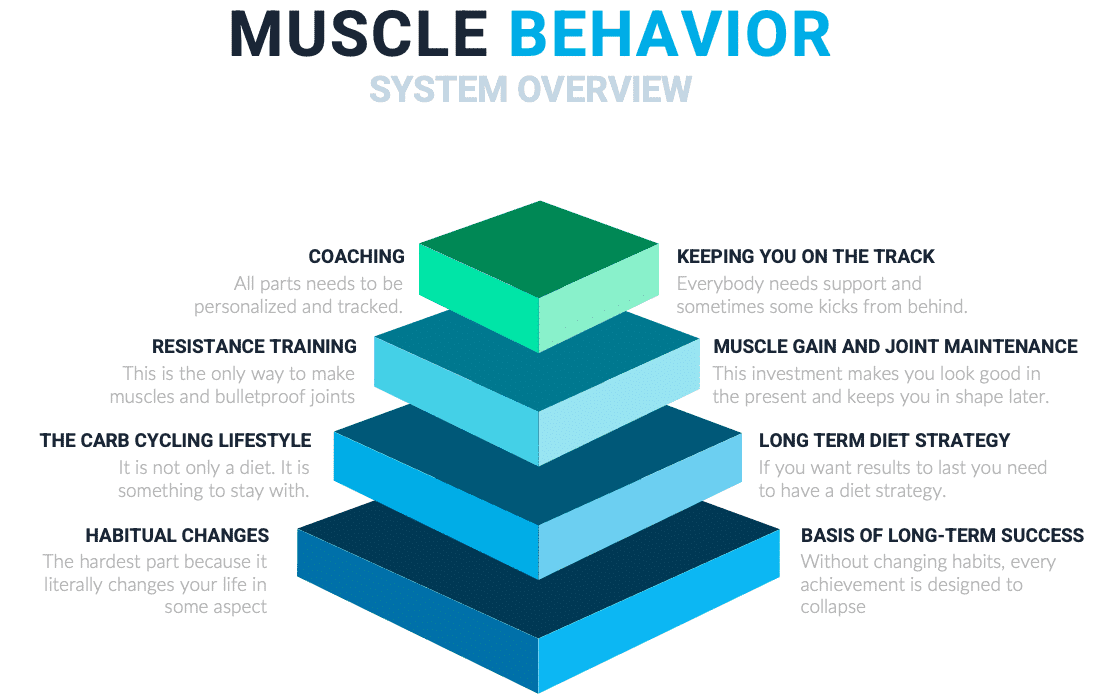 muscle behavior